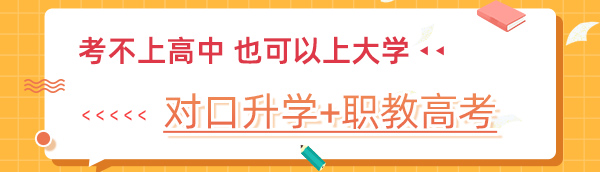 职教政策