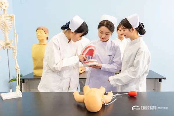 陕西省2023年高等院校职业教育单独招生考试应考指南